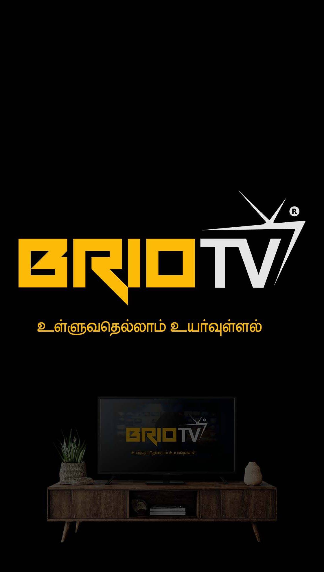 BRIO TV